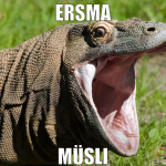 ersma müsli