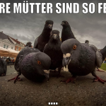 eure mütter sind so fett ....
