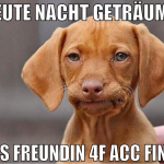 heute nacht geträumt, dass Freundin 4F Acc findet