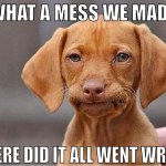 What a mess we made where did it all went wrong