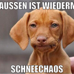 draußen ist wiedermal schneechaos