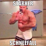 starker schneefall