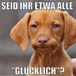 seid ihr etwa alle  