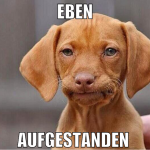 eben aufgestanden 