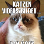 Katzen Videos/Bilder....  ich kotz am Strahl !!!!!