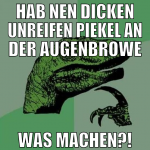 hab nen dicken unreifen piekel an der augenbrowe w