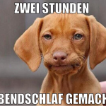 zwei stunden  abendschlaf gemacht