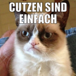 cutzen sind einfach grösster win