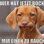 wer hat jetzt bock MIT MIR EINEN ZU RAUCHEN 