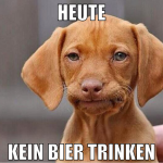 heute kein bier trinken