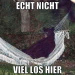 echt nicht viel los hier
