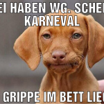 frei haben wg. scheiss karneval mit grippe im bett