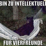 bin zu intellektuell für vierfreunde