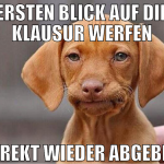 ERSTEN BLICK AUF DIE KLAUSUR WERFEN DIREKT WIEDER 