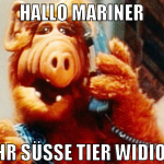 hallo mariner ja mehr süße tier widios nau