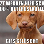 jetzt werden hier schon 100% heterosexuelle gifs g