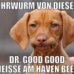 Ohrwurm von dieser Dr. Good Good scheisse am haven