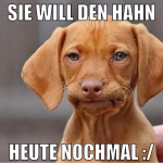 sie will den hahn heute nochmal :/