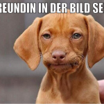 exfreundin in der Bild sehen 