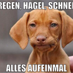 regen, hagel, schnee alles aufeinmal