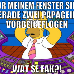 vor meinem fenster sind gerade zwei papageien vorb