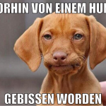 vorhin von einem hunt gebissen worden