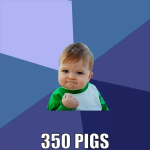 350 pigs