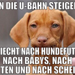 In die U-Bahn steigen es riecht nach HundeFutter, 