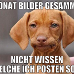 1 Monat bilder gesammelt nicht wissen welche ich p