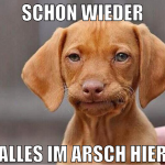 schon wieder alles im arsch hier