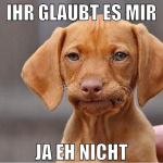 ihr glaubt es mir ja eh nicht