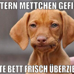 Gestern mettchen gefickt heute bett frisch überzie