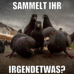 sammelt ihr irgendetwas?