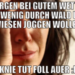morgen bei gutem wetter ein wenig durch wald und w