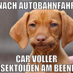 nach autobahnfahr car voller insektoiden am beenen