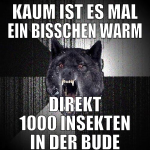 KAUM IST ES MAL EIN BISSCHEN WARM DIREKT 1000 INSE