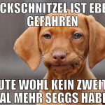 fickschnitzel ist eben gefahren heute wohl kein zw