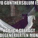 wo gunthersblum ist hab ich gefragt ihr degenerier