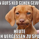Eben aufs klo gehen gewollt heute früh vergessen z