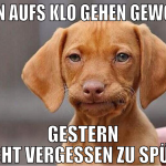 Eben aufs klo gehen gewollt gestern nacht vergesse