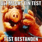 Alf macht ein Test Test bestanden