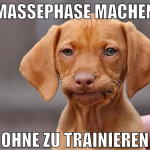 Massephase machen ohne zu trainieren