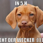 In 5 h  geht der Wecker :((((((