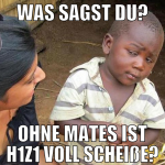 Was sagst du? Ohne Mates ist H1Z1 voll scheiße?