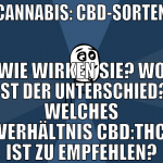 cannabis: cbd-sorten wie wirken sie? wo ist der un