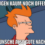 augen kaum noch offen... wünsche also gute nacht!