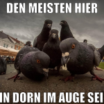 den meisten hier ein dorn im auge sein