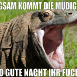 langsam kommt die müdigkeit also gute nacht ihr fu