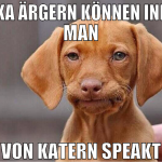 tinka ärgern können indem man von katern speakt