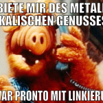 man biete mir des metallisch musikalischen genusse